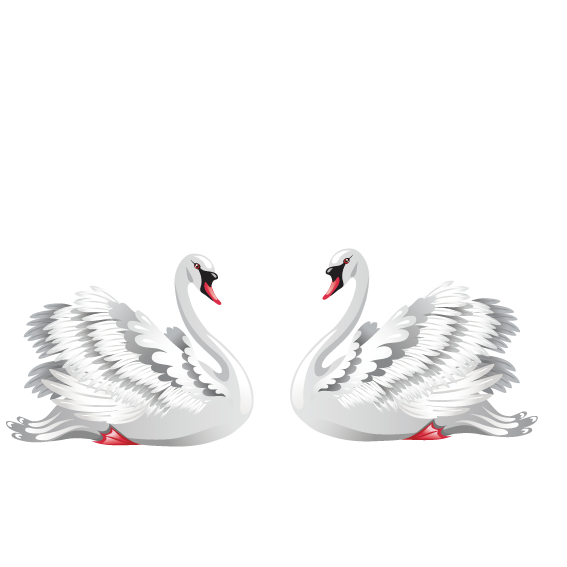 Transparent Black Swan Bird Valentines Day Swan Water Bird for Valentines Day