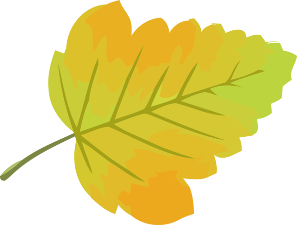 Transparent Thanksgiving Leaf Yellow Plant for Fall Leaves for Thanksgiving