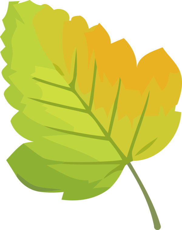 Transparent Thanksgiving Leaf Green Yellow for Fall Leaves for Thanksgiving