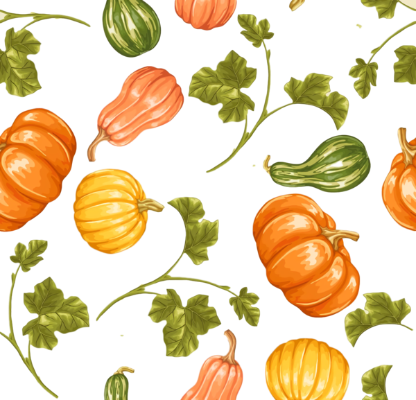 Transparent Thanksgiving Natural foods Vegetable Pumpkin for Thanksgiving Pumpkin for Thanksgiving