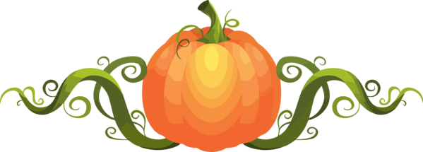 Transparent Thanksgiving Natural foods Vegetable Orange for Thanksgiving Pumpkin for Thanksgiving
