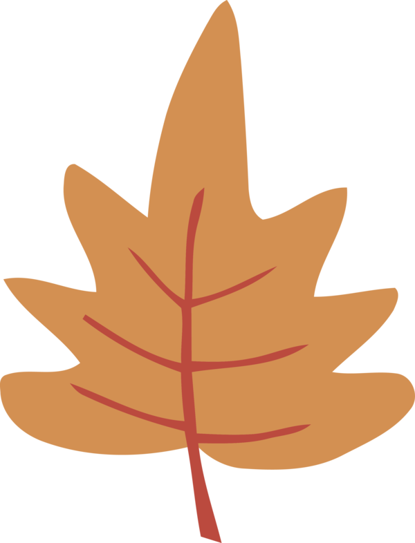 Transparent Thanksgiving Leaf Tree Maple leaf for Fall Leaves for Thanksgiving