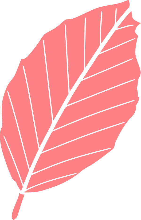 Transparent Thanksgiving Leaf Line Plant for Fall Leaves for Thanksgiving