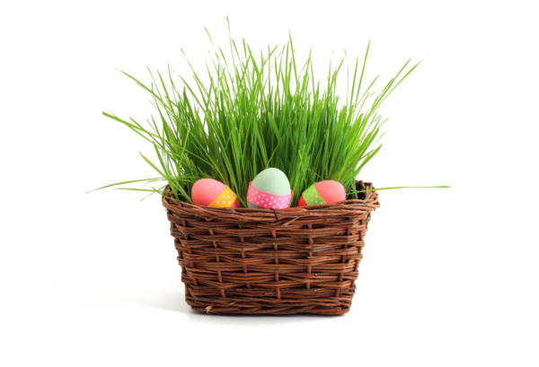 Transparent Easter Bunny Easter Easter Egg Plant Commodity for Easter