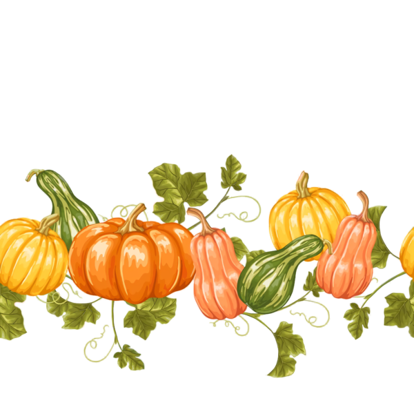 Transparent Thanksgiving Natural foods Vegetable Plant for Thanksgiving Pumpkin for Thanksgiving