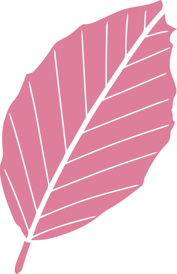 Transparent Thanksgiving Leaf Line Pink for Fall Leaves for Thanksgiving