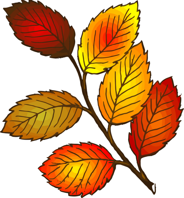 Transparent Thanksgiving Leaf Plant Flower for Fall Leaves for Thanksgiving