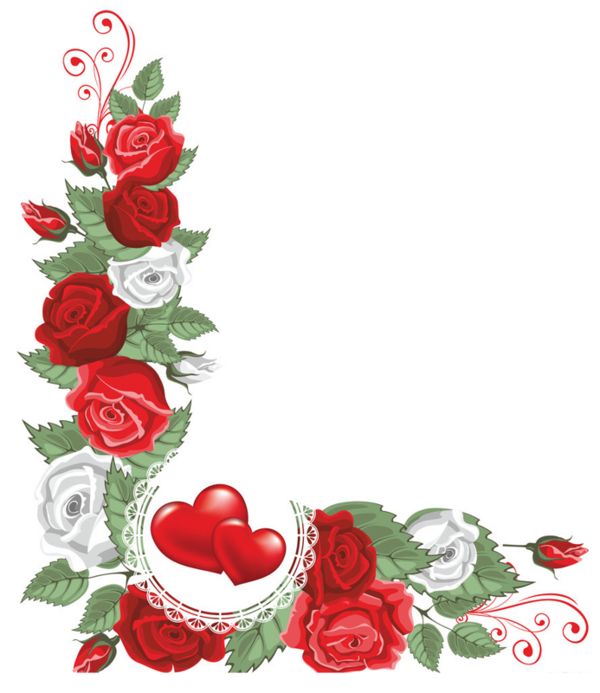 Transparent Garden Roses Flower Floral Design Petal Heart for Valentines Day