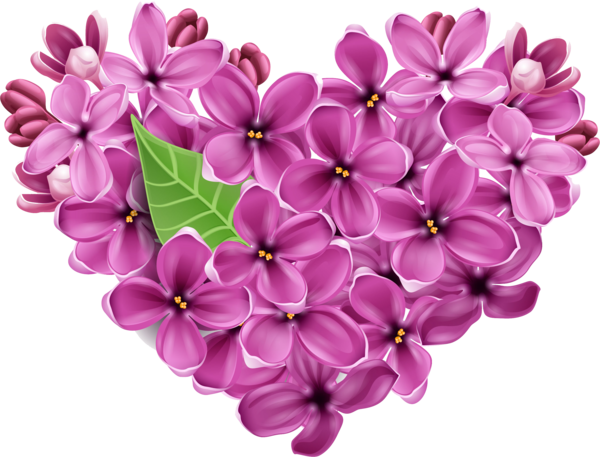Transparent Lilac Flower Violet for Valentines Day