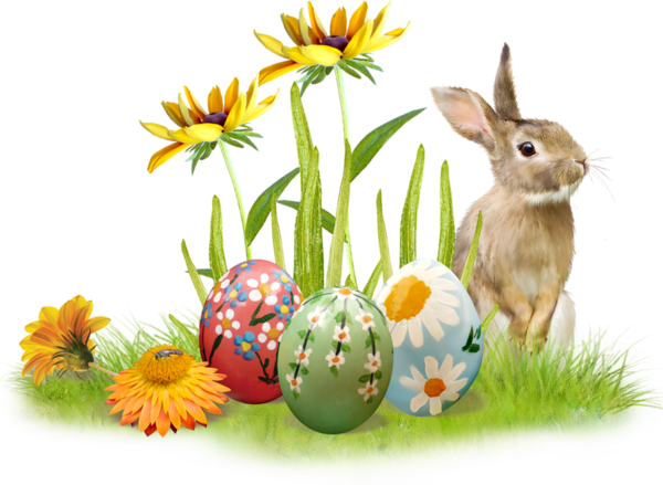 Transparent Egg Hunt Easter Bunny Easter Easter Egg for Easter