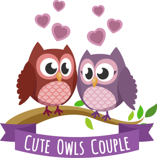 Transparent Owl Barn Owl Little Owl Pink for Valentines Day