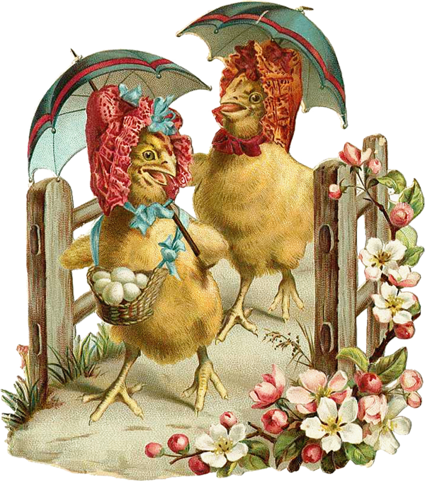 Transparent Easter Animation Blog Chicken Rooster for Easter