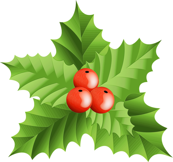 Transparent Holly Leaf Green for Christmas