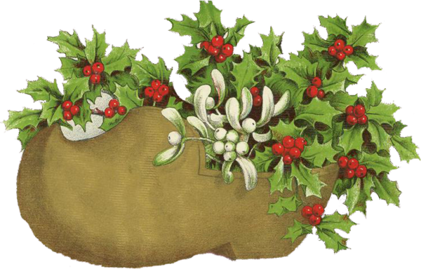 Transparent Blog Christmas Card Christmas Plant Flower for Christmas