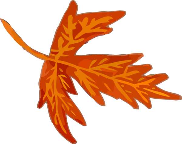 Transparent Thanksgiving Leaf Orange Tree for Fall Leaves for Thanksgiving