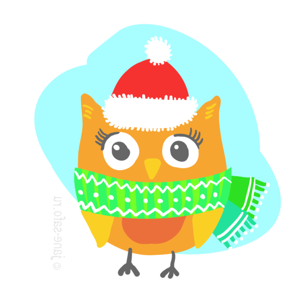 Transparent Owl Bird Little Owl Christmas Ornament for Christmas