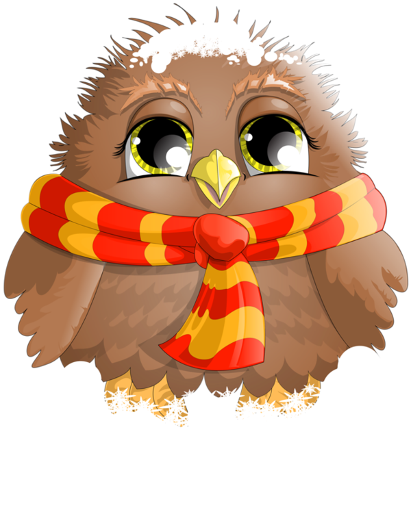 Transparent Santa Claus Owl Christmas Bird Of Prey for Christmas