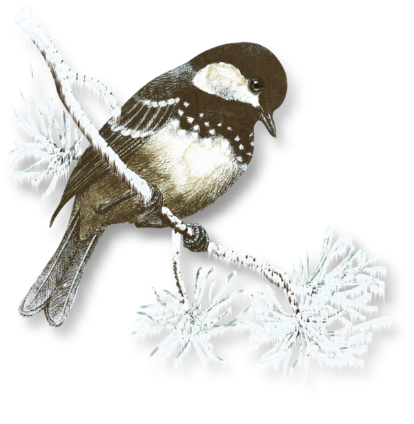 Transparent Snow Winter Bird Feather for Christmas