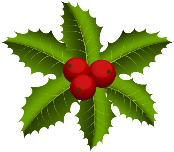 Transparent Drawing Christmas Mistletoe Plant Leaf for Christmas