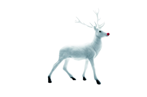 Transparent Reindeer Deer Christmas Wildlife for Christmas
