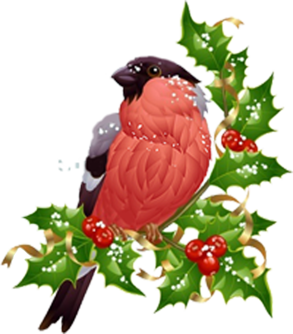 Transparent Eurasian Bullfinch Christmas Ornament Tree for Christmas