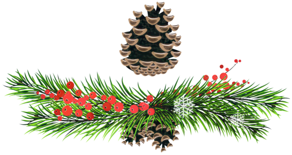 Transparent Fir Christmas Ornament Spruce Sugar Pine Columbian Spruce for Christmas