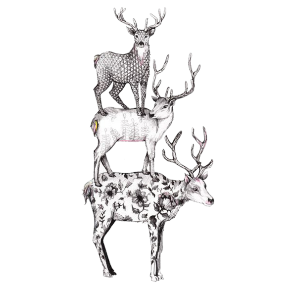 Transparent Deer Drawing Idea Reindeer for Christmas