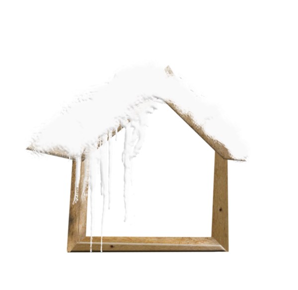 Transparent Window Winter Bird Angle Wood for Christmas