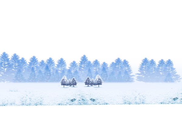 Transparent Snow Christmas Drawing Blue Winter for Christmas