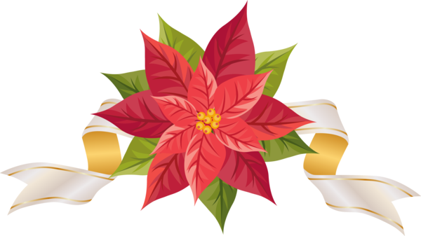 Transparent Borders And Frames Poinsettia Christmas Plant Flora for Christmas