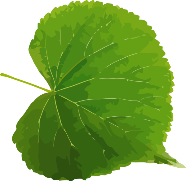 Transparent Bodhi Day Leaf Green Plant for Bodhi for Bodhi Day