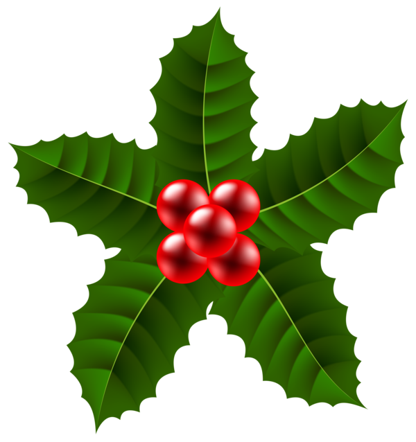 Transparent Christmas Common Holly Pin Plant Leaf for Christmas