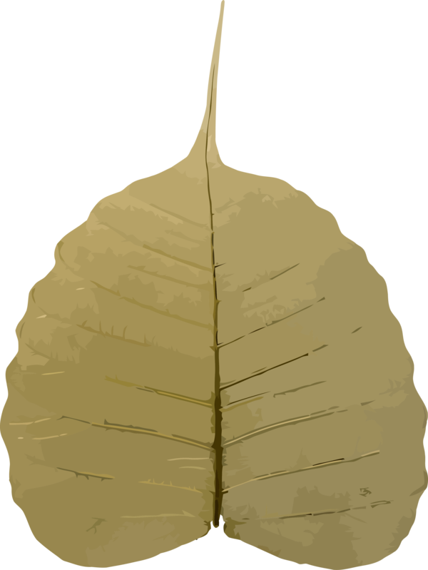 Transparent Bodhi Day Leaf Tree Plant for Bodhi for Bodhi Day