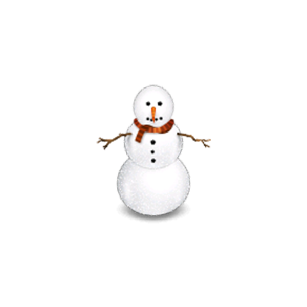 Transparent Snowman Christmas Winter Bird for Christmas