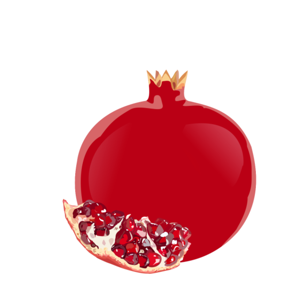 Transparent Pomegranate Drawing Fruit for Christmas