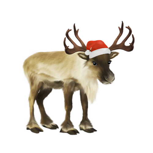 Transparent Santa Claus Reindeer Christmas Deer for Christmas