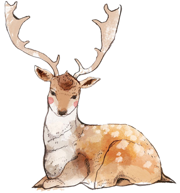 Transparent Reindeer Deer Painting Elk Wildlife for Christmas