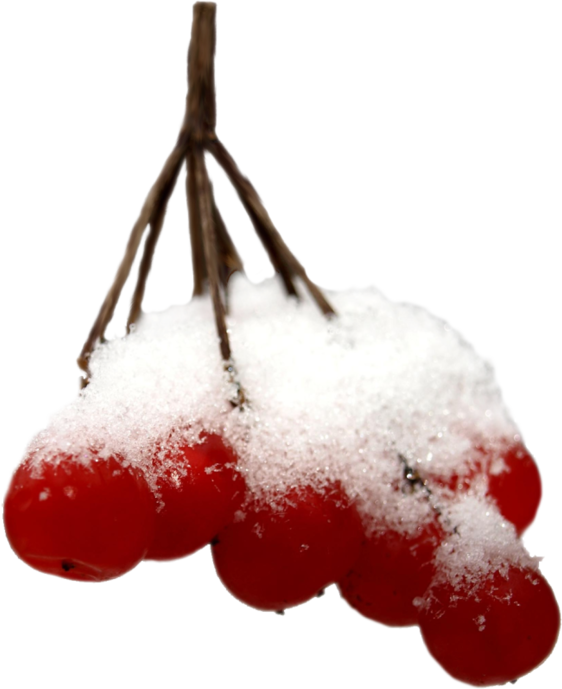 Transparent Berry Mountainash Snow Fruit Christmas Ornament for Christmas