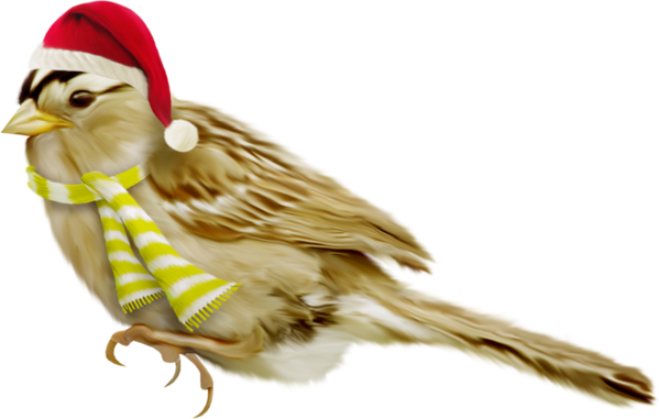 Transparent Bird Christmas Beak for Christmas