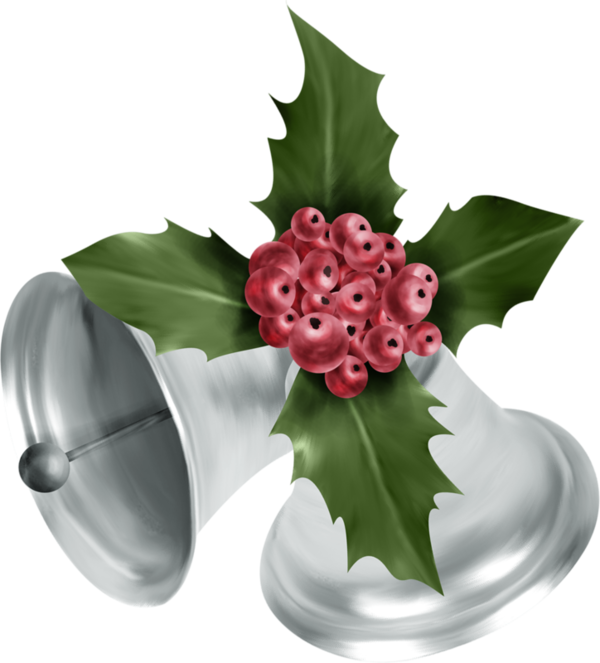 Transparent Bell Christmas Gift Flower Plant for Christmas