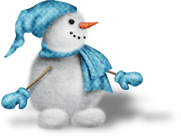 Transparent Snowman Snow Winter Stuffed Toy Flightless Bird for Christmas