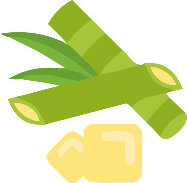 Transparent Pongal Green Leaf Hand for Thai Pongal for Pongal