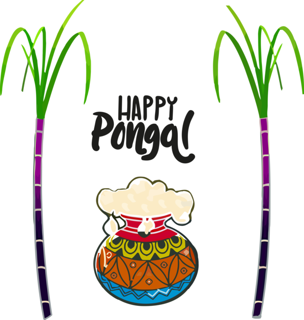 Transparent Pongal Line Coloring book Plant for Thai Pongal for Pongal