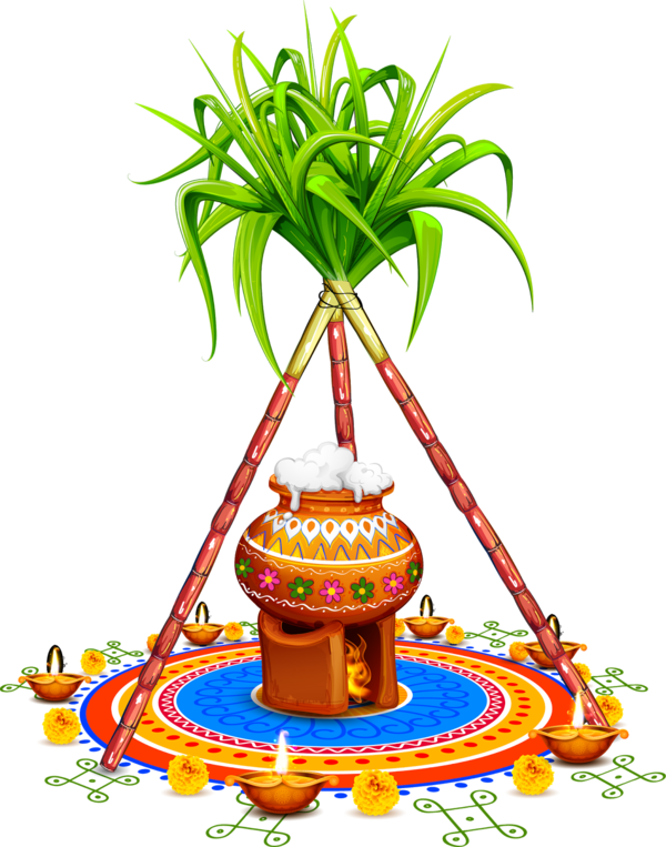 Transparent Pongal Tree Palm tree Houseplant for Thai Pongal for Pongal