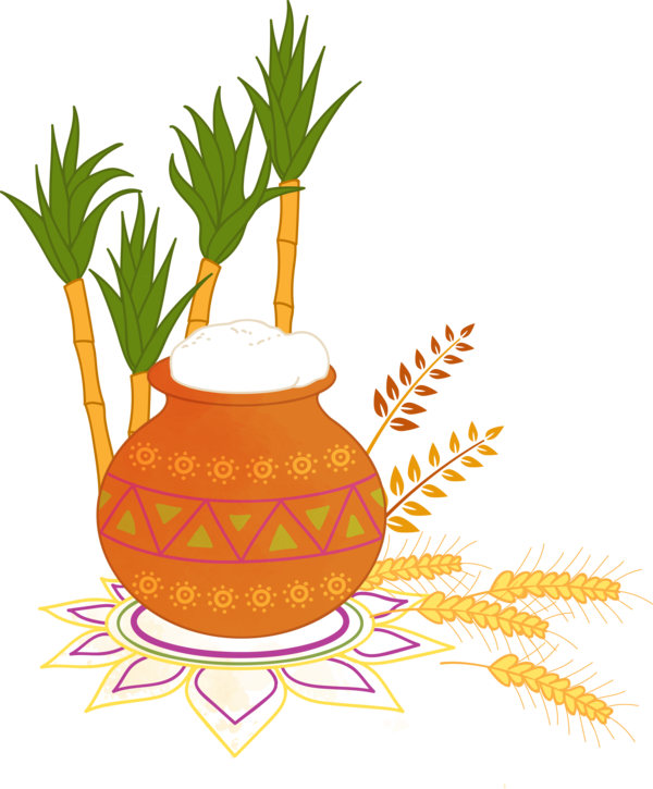 Transparent Pongal Plant for Thai Pongal for Pongal