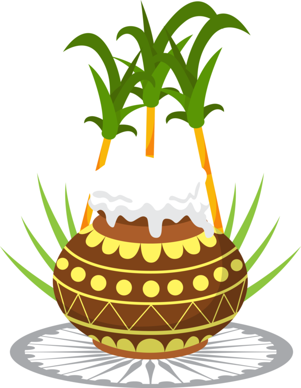 Transparent Pongal Pineapple Ananas Fruit for Thai Pongal for Pongal