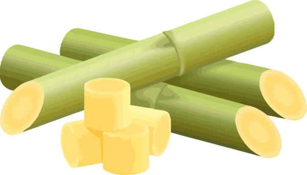 Transparent Pongal Yellow Cylinder Material property for Thai Pongal for Pongal