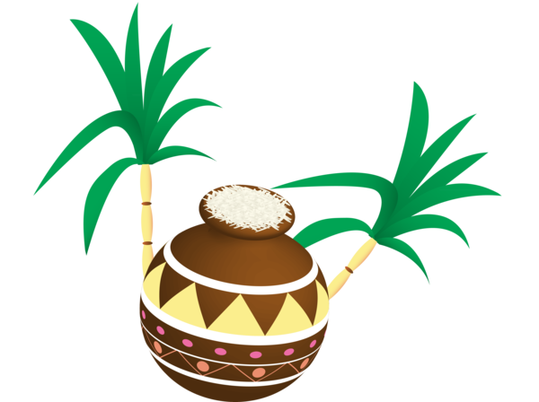 Transparent Pongal Palm tree Coconut Tree for Thai Pongal for Pongal