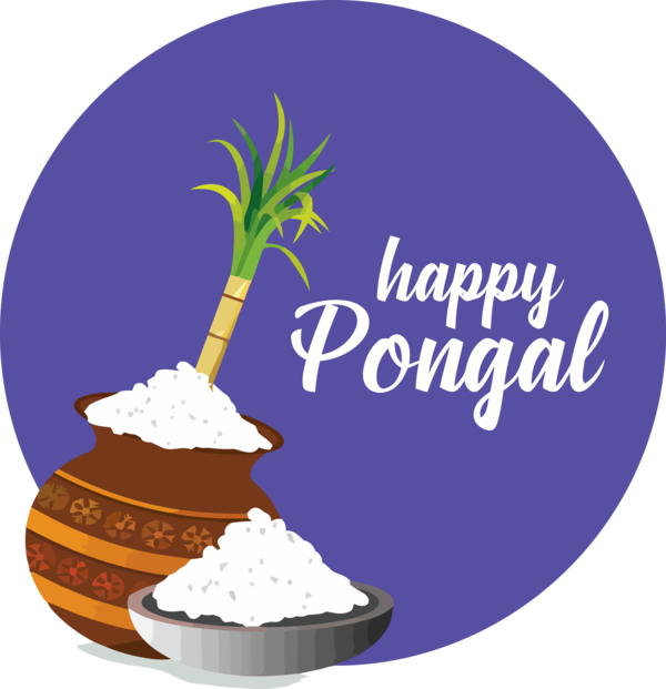 Transparent Pongal Logo Food Plant for Thai Pongal for Pongal