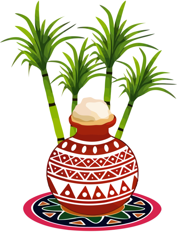 Transparent Pongal Houseplant Palm tree Flowerpot for Thai Pongal for Pongal